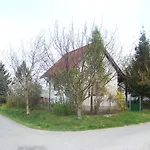 Nefelejcs * Fertőhomok