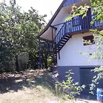 Nefelejcs
