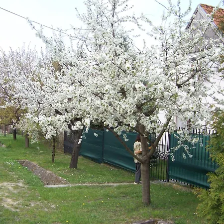 Nefelejcs Apartmán Fertőhomok