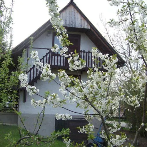 Nefelejcs Fertőhomok
