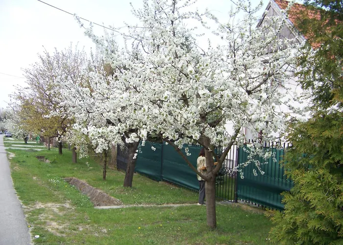 Nefelejcs 公寓 Fertőhomok